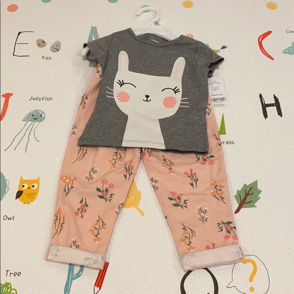 Carter's Other - NWT Carter’s Spring Set size 18 months